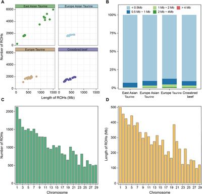 Identification of Heilongjiang crossbred beef cattle pedigrees and reveals functional genes related to economic traits based on whole-genome SNP data
